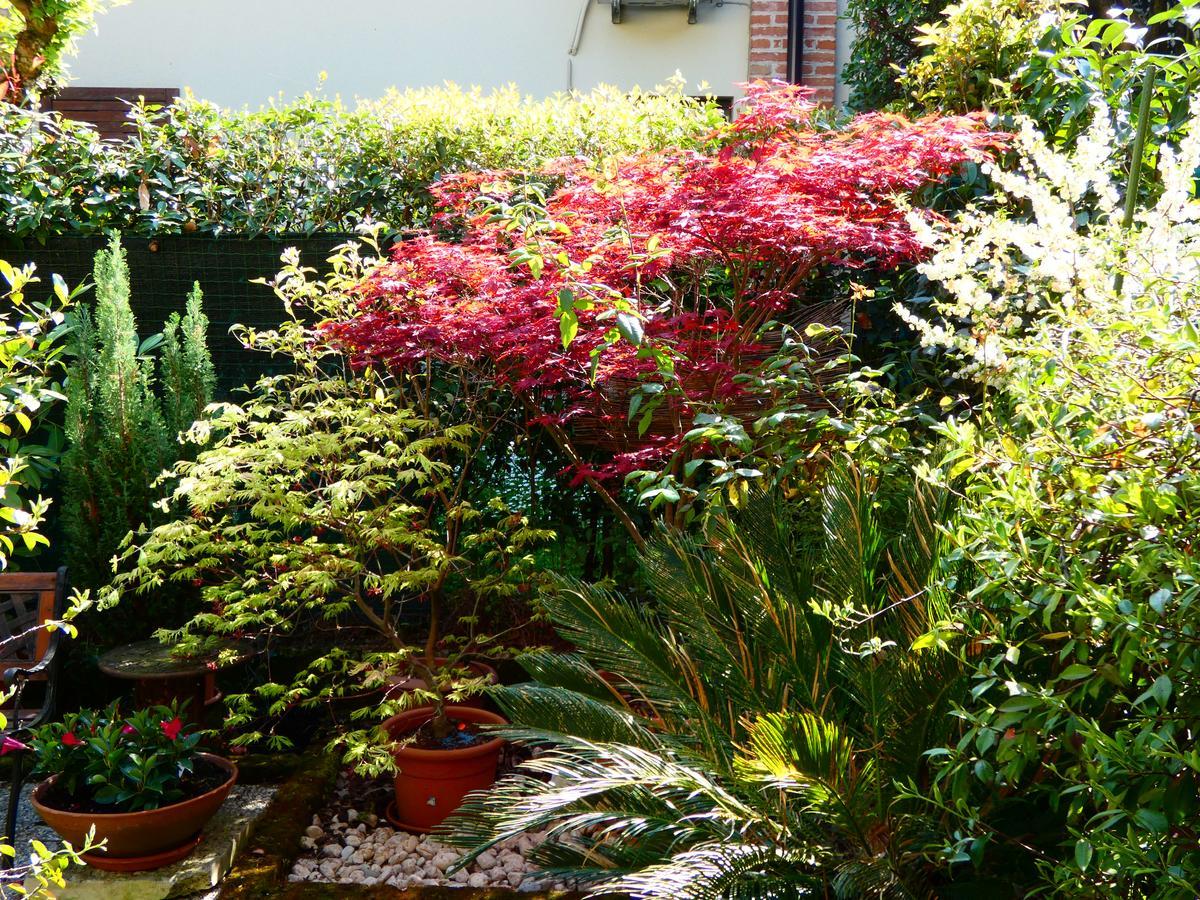 Garden Sweet House Desenzano Leilighet Desenzano del Garda Eksteriør bilde
